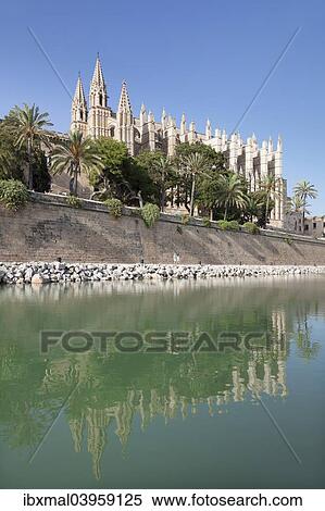 "Palma Cathedral at the marine park Parc de la Mar, Palma de Majorca, Majorca, Balearic Islands, Spain, Europe" View Large Photo Image Stock Photography - "Palma Cathedral at the marine park Parc de la Mar, Palma de Majorca, Majorca, Balearic Islands, Spain, Europe". Fotosearch