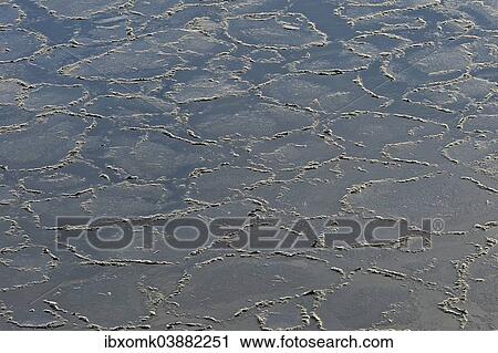 "Pancake ice, edge of pack-ice, Arctic Ocean, Spitsbergen Island, Svalbard Archipelago, Svalbard and Jan Mayen, Norway, Europe" View Large Photo Image Stock Image - "Pancake ice, edge of pack-ice, Arctic Ocean, Spitsbergen Island, Svalbard Archipelago, Svalbard and Jan Mayen, Norway, Europe". Fotosearch