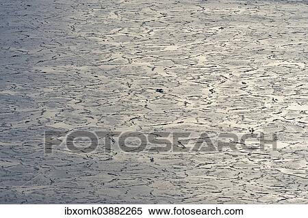 "Pancake ice, edge of pack-ice, Arctic Ocean, Spitsbergen Island, Svalbard Archipelago, Svalbard and Jan Mayen, Norway, Europe" View Large Photo Image Stock Photography - "Pancake ice, edge of pack-ice, Arctic Ocean, Spitsbergen Island, Svalbard Archipelago, Svalbard and Jan Mayen, Norway, Europe". Fotosearch
