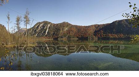 Picture - "Panorama, autumn at Almsee lake, with a reflection in the lake, Grunau im Almtal, Upper Austria, Austria, Europe". Fotosearch