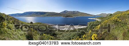 "Panorama, Cluanie, Scotland, United Kingdom, Europe" View Large Photo Image Stock Image - "Panorama, Cluanie, Scotland, United Kingdom, Europe". Fotosearch