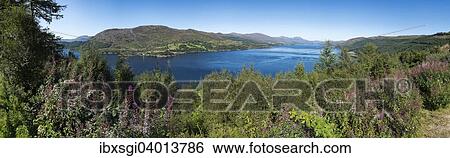 "Panorama, landscape at Loch Carron, Scotland, United Kingdom, Europe" View Large Photo Image Stock Photograph - "Panorama, landscape at Loch Carron, Scotland, United Kingdom, Europe". Fotosearch