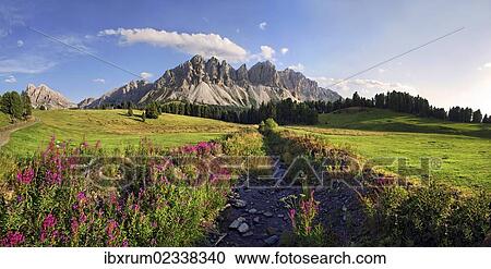 "Panoramic view as seen from the Wuerzjoch ridge with the Aferer Geisler Mountains and Peitlerkofel mountain at the back, Villnoesstal valley, province of Bolzano-Bozen, Italy, Europe" View Large Photo Image Stock Image - "Panoramic view as seen from the Wuerzjoch ridge with the Aferer Geisler Mountains and Peitlerkofel mountain at the back, Villnoesstal valley, province of Bolzano-Bozen, Italy, Europe". Fotosearch