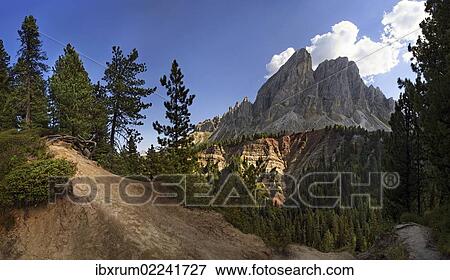 "Panoramic view at Mt Peitlerkofel, Sasso delle Putia, with mountain forest and trail at Wuerzjoch, Passo delle Erbe, Villnoess, Funes, Dolomites, South Tyrol, Italy, Europe" View Large Photo Image Stock Photo - "Panoramic view at Mt Peitlerkofel, Sasso delle Putia, with mountain forest and trail at Wuerzjoch, Passo delle Erbe, Villnoess, Funes, Dolomites, South Tyrol, Italy, Europe". Fotosearch