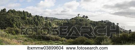 "Panoramic view, green vegetation in the spring, La Palma, Canary Islands, Spain, Europe" View Large Photo Image Picture - "Panoramic view, green vegetation in the spring, La Palma, Canary Islands, Spain, Europe". Fotosearch