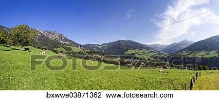 "Panoramic view, Kitzbuhel Alps, Alpbach valley, Alpbach, Tyrol, Austria, Europe" View Large Photo Image Stock Image - "Panoramic view, Kitzbuhel Alps, Alpbach valley, Alpbach, Tyrol, Austria, Europe". Fotosearch