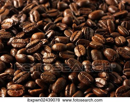 Papua New Guinea fair trade coffee beans View Large Photo Image Stock Photo - Papua New Guinea fair trade coffee beans. Fotosearch