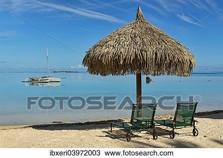 "Parasol and sunloungers on the beach, Moorea, French Polynesia, Oceania" View Large Photo Image Stock Image - "Parasol and sunloungers on the beach, Moorea, French Polynesia, Oceania". Fotosearch