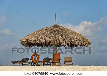 "Parasol, sunbeds and a lifebuoy on the beach, Paradise Island, Maldives, Asia" View Large Photo Image Stock Image - "Parasol, sunbeds and a lifebuoy on the beach, Paradise Island, Maldives, Asia". Fotosearch