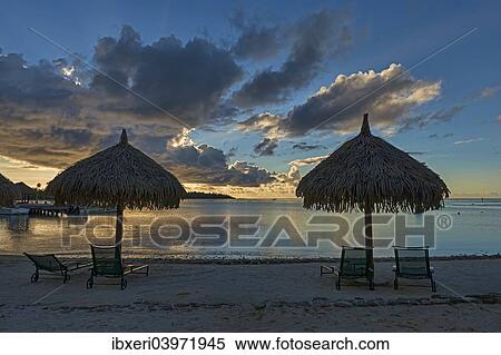 "Parasols and sun loungers on the beach, evening atmosphere, Moorea, French Polynesia, Oceania" View Large Photo Image Stock Photography - "Parasols and sun loungers on the beach, evening atmosphere, Moorea, French Polynesia, Oceania". Fotosearch