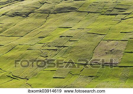 Stock Photo - "Parcels of land, fields, patchwork, Kvivik, Streymoy, Faroe Islands, Denmark, Europe". Fotosearch