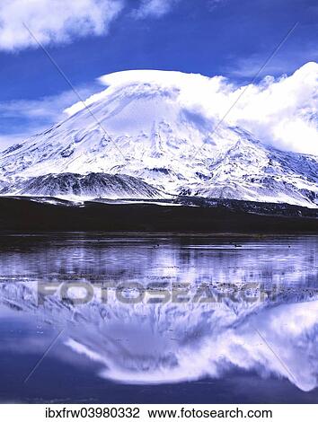 "Parinacota volcano with reflections in the lake Lago Chungara, Lauca National Park, Antofagasta, Chile, South America" View Large Photo Image Stock Image - "Parinacota volcano with reflections in the lake Lago Chungara, Lauca National Park, Antofagasta, Chile, South America". Fotosearch