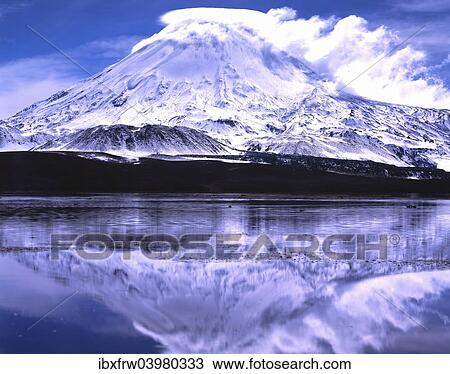 "Parinacota volcano with reflections in the lake Lago Chungara, Lauca National Park, Antofagasta, Chile, South America" View Large Photo Image Stock Image - "Parinacota volcano with reflections in the lake Lago Chungara, Lauca National Park, Antofagasta, Chile, South America". Fotosearch