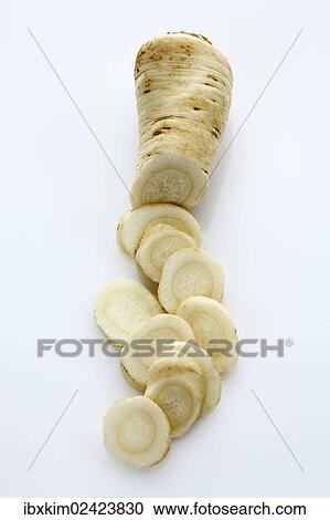 "Parsley (Petroselinum hortense), roots" View Large Photo Image Stock Image - "Parsley (Petroselinum hortense), roots". Fotosearch