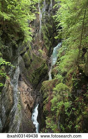 "Partnach Gorge, Upper Bavaria, Bavaria, Germany, Europe" View Large Photo Image Stock Photo - "Partnach Gorge, Upper Bavaria, Bavaria, Germany, Europe". Fotosearch