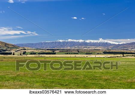 Stock Image - "Pasture in Central Otago with the snow-capped St. Bathans Range, Queensberry, Otago Region, New Zealand, Oceania". Fotosearch