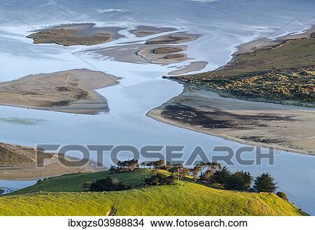 Picture - "Pasture in front of tidal inlet, Hoopers Inlet, Otago Region, South Island, New Zealand, Oceania". Fotosearch