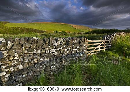 "Pasture with a natural stone wall, Yarrowford-Tal, Scottish Borders, Scotland, United Kingdom, Europe" View Large Photo Image Stock Photo - "Pasture with a natural stone wall, Yarrowford-Tal, Scottish Borders, Scotland, United Kingdom, Europe". Fotosearch