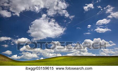 "Pasture with blue sky and white clouds, St. Boswells, Scottish Borders, Scotland, United Kingdom, Europe" View Large Photo Image Stock Photography - "Pasture with blue sky and white clouds, St. Boswells, Scottish Borders, Scotland, United Kingdom, Europe". Fotosearch