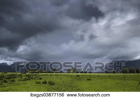"Pastures with storm clouds and rain, South Island, New Zealand, Oceania" View Large Photo Image Stock Photograph - "Pastures with storm clouds and rain, South Island, New Zealand, Oceania". Fotosearch
