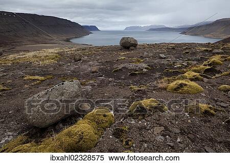 Stock Photography - "Patriksfjoerdur, West Fjords, Iceland, Europe". Fotosearch