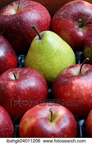 Stock Photograph - Pear amidst red Jonagored apples. Fotosearch