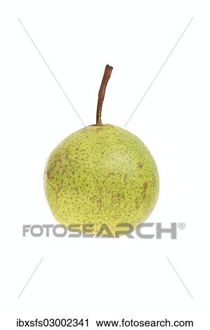 "Pear, Edelcrassane variety" View Large Photo Image Stock Image - "Pear, Edelcrassane variety". Fotosearch