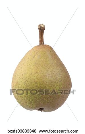 Stock Photo - "Pear, Madame Verte variety". Fotosearch