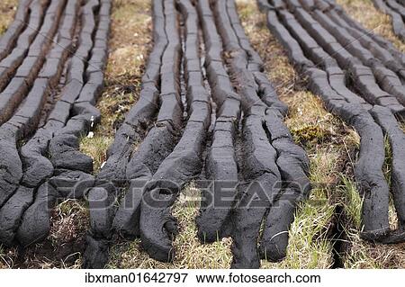 Stock Photo - "Peat cutting, Connemara, County Galway, Republic of Ireland, Europe". Fotosearch