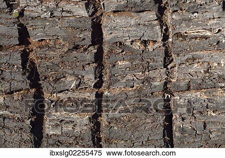 "Peat cuttings with broaching marks, stacks of peat, Stammbeckenmoor near Raubling, Alpine Uplands, Bavaria, Germany, Europe" View Large Photo Image Stock Photography - "Peat cuttings with broaching marks, stacks of peat, Stammbeckenmoor near Raubling, Alpine Uplands, Bavaria, Germany, Europe". Fotosearch