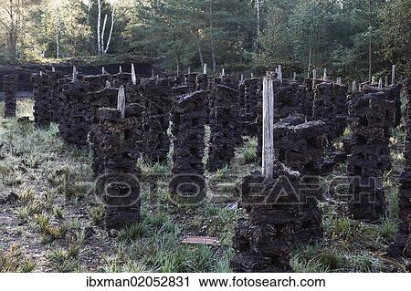 "Peat drying, peat cutting, peat bog, Nicklheimer Moor, between Raubling and Bad Feilnbach, Upper Bavaria, Bavaria, Germany, Europe, PublicGround, Europe" View Large Photo Image Stock Image - "Peat drying, peat cutting, peat bog, Nicklheimer Moor, between Raubling and Bad Feilnbach, Upper Bavaria, Bavaria, Germany, Europe, PublicGround, Europe". Fotosearch