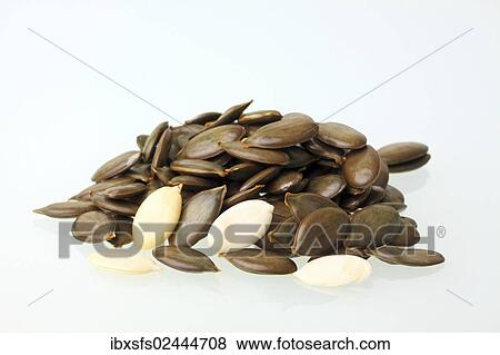 Peeled and unpeeled Styrian Oil Pumpkin seeds View Large Photo Image Stock Photo - Peeled and unpeeled Styrian Oil Pumpkin seeds. Fotosearch