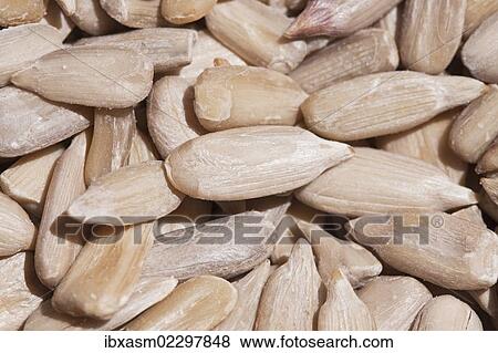 Peeled sunflower seeds View Large Photo Image Stock Photo - Peeled sunflower seeds. Fotosearch