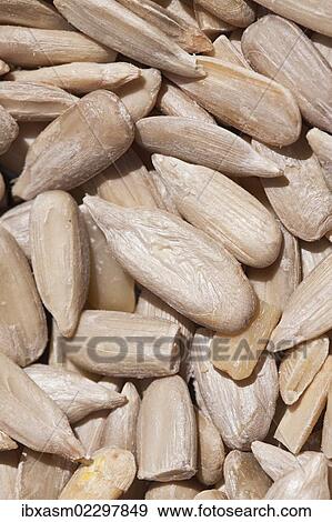 Peeled sunflower seeds View Large Photo Image Stock Photo - Peeled sunflower seeds. Fotosearch