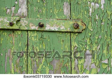 "Peeling green paint on wooden boards and a hinge, Faroe Islands, Faroe Islands, Denmark, Europe" View Large Photo Image Stock Image - "Peeling green paint on wooden boards and a hinge, Faroe Islands, Faroe Islands, Denmark, Europe". Fotosearch