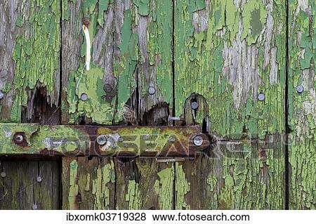 "Peeling green paint on wooden boards and a hinge, Faroe Islands, Faroe Islands, Denmark, Europe" View Large Photo Image Stock Photo - "Peeling green paint on wooden boards and a hinge, Faroe Islands, Faroe Islands, Denmark, Europe". Fotosearch