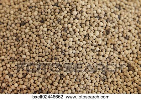 "Peppercorns, white pepper, Bazaar of Antalya, Turkey, Asia" View Large Photo Image Stock Image - "Peppercorns, white pepper, Bazaar of Antalya, Turkey, Asia". Fotosearch