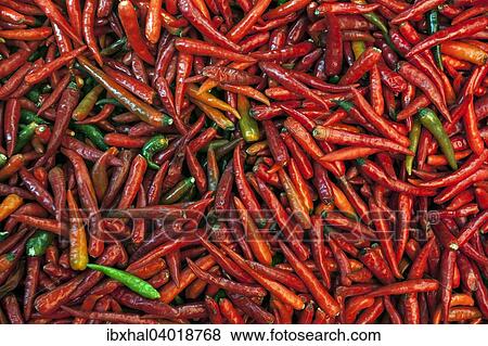 Stock Photo - "Pepperoni (Capsicum annuum), Reunion, France, Africa". Fotosearch