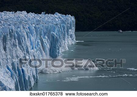 "Perito Moreno Glacier calving into Lago Argentino, Parque Nacional Los Glaciares, Los Glaciares National Park, Patagonia, Argentina, South America" View Large Photo Image Stock Photo - "Perito Moreno Glacier calving into Lago Argentino, Parque Nacional Los Glaciares, Los Glaciares National Park, Patagonia, Argentina, South America". Fotosearch