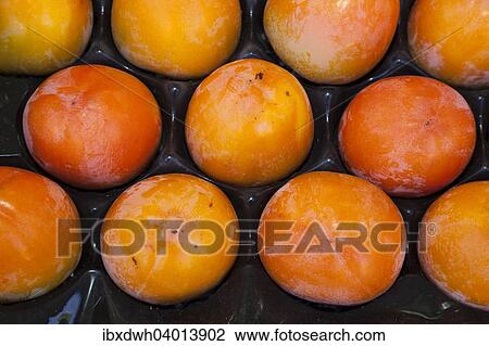 "Persimmons (Diospyros kaki) in a fruit crate, Germany, Europe" View Large Photo Image Stock Image - "Persimmons (Diospyros kaki) in a fruit crate, Germany, Europe". Fotosearch