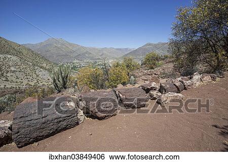 "Petrified Araucaria wood, Monumental Nacional Pichasca, Rio Hurtado, Region de Coquimbo, Chile, South America" View Large Photo Image Stock Photograph - "Petrified Araucaria wood, Monumental Nacional Pichasca, Rio Hurtado, Region de Coquimbo, Chile, South America". Fotosearch