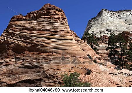Stock Image - "Petrified dunes, Zion National Park, Utah, United States, North America". Fotosearch