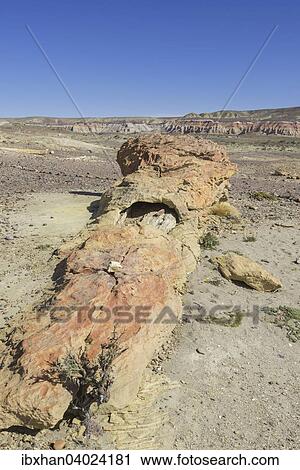 Stock Image - "Petrified forest Bosque Petrificado National Monument, Sarmiento, Chubut, Argentina, South America". Fotosearch