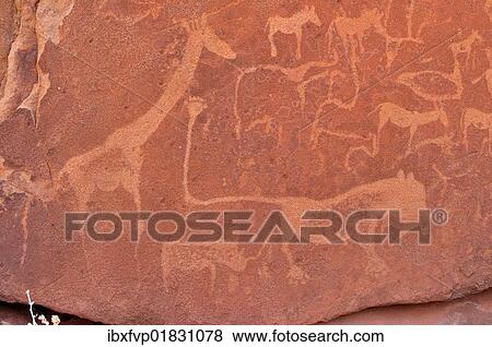 Stock Photo - "Petrograph of the famous lion with the kinked tail, Twyfelfontein, Namibia, Africa". Fotosearch