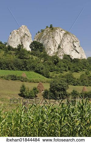 Picture - "Piatra Corbului Nature Reserve, Romania, Europe". Fotosearch