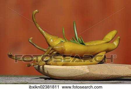 Pickled hot peppers with rosemary on a wooden spoon View Large Photo Image Stock Image - Pickled hot peppers with rosemary on a wooden spoon. Fotosearch