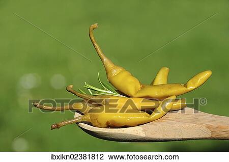 Pickled hot peppers with rosemary on a wooden spoon View Large Photo Image Stock Image - Pickled hot peppers with rosemary on a wooden spoon. Fotosearch