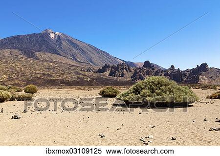 "Pico del Teide volcano with lava rocks in the Teide National Park, UNESCO World Heritage Site, Vilaflor, Provinz Santa Cruz de Tenerife, Tenerife, Canary Islands, Spain, Europe" View Large Photo Image Stock Photography - "Pico del Teide volcano with lava rocks in the Teide National Park, UNESCO World Heritage Site, Vilaflor, Provinz Santa Cruz de Tenerife, Tenerife, Canary Islands, Spain, Europe". Fotosearch