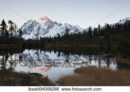 "Picture Lake and Mount Shuksan in the Northern Cascades, Cascade Range, Rockport, Washington, United States, North America" View Large Photo Image Stock Photo - "Picture Lake and Mount Shuksan in the Northern Cascades, Cascade Range, Rockport, Washington, United States, North America". Fotosearch