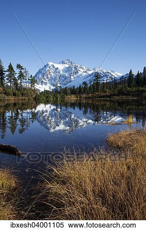 "Picture Lake in the Northern Cascades, Rockport, Washington, United States, North America" View Large Photo Image Stock Photography - "Picture Lake in the Northern Cascades, Rockport, Washington, United States, North America". Fotosearch